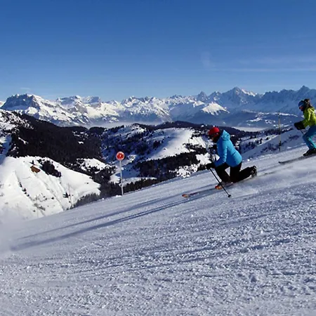 Lägenhet 6 Pers, Piscine, Parking, Pied Des Pistes, - Fr-1-505-88